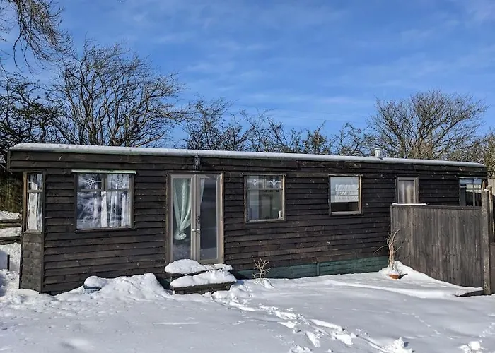 Ferny Roost Cabin.